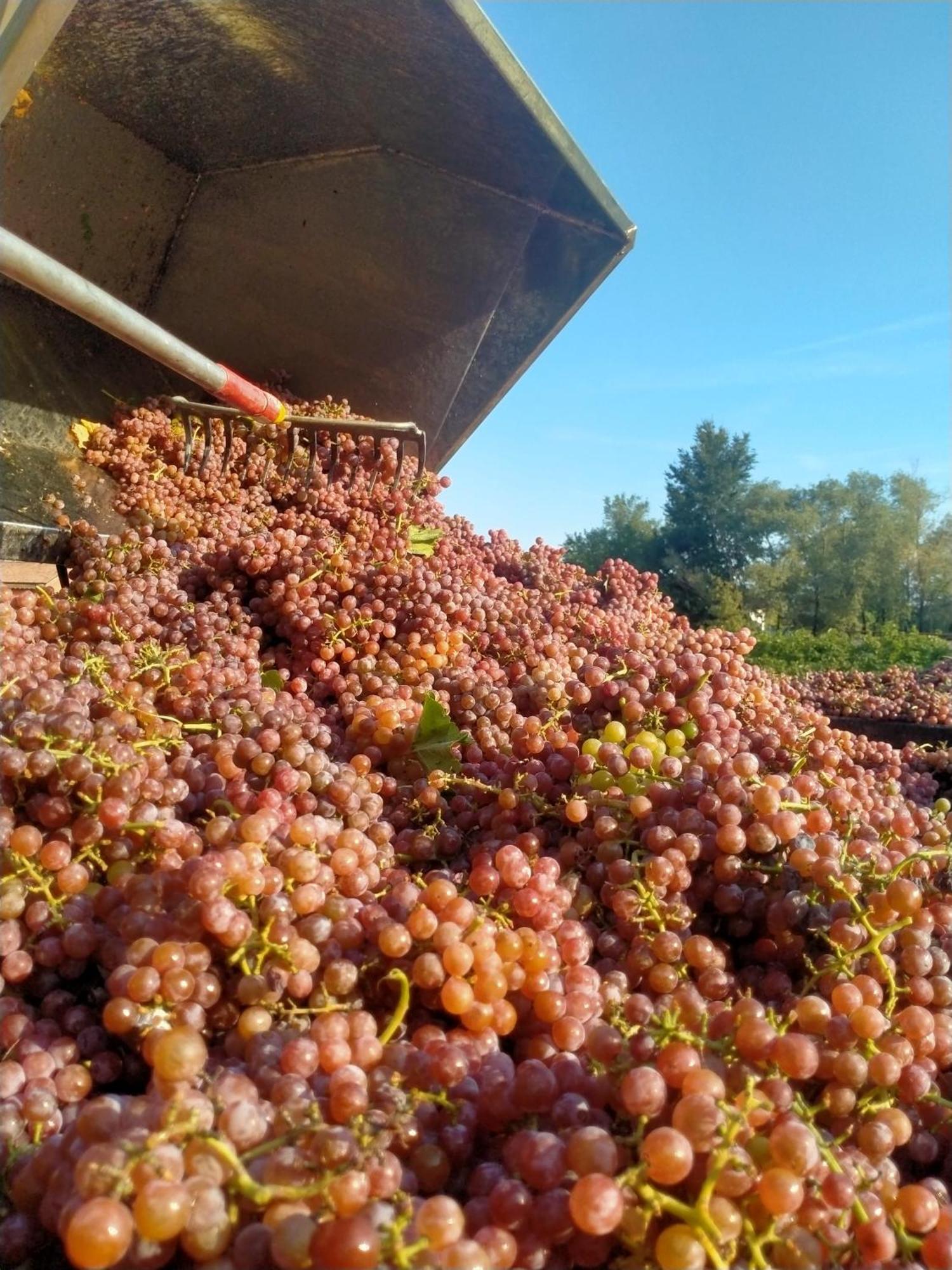 Barone Rosso Panzió Treviso Kültér fotó